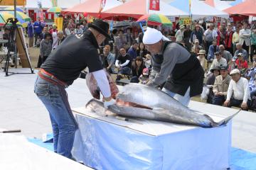 マグロの解体ショー