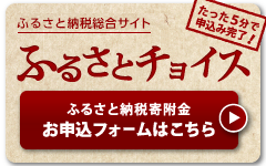 ふるさとチョイスの画像