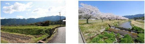 粟鹿地域の自然風景　写真