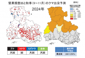 堅果類豊凶と終期のクマの出没予測