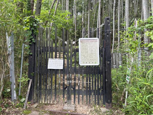 駅裏登山道