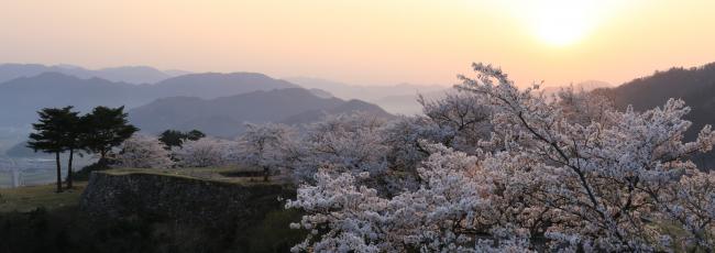 2026スプリングシーズン