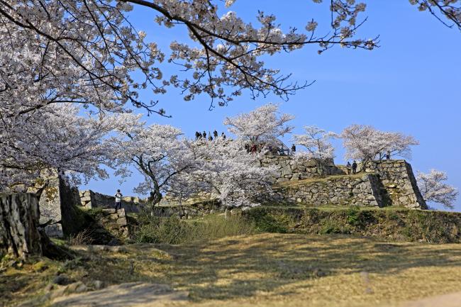 2026スプリングシーズン2