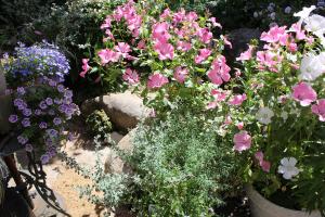 かのんガーデン