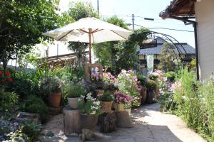 かのんガーデン　お庭の中から