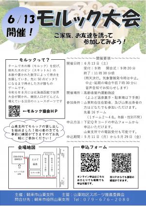 R8モルック大会チラシ