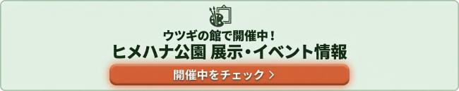 ヒメハナ公園展示のお知らせ